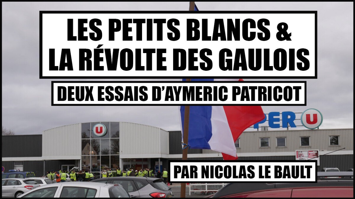The "Petits Blancs" and the Revolt of the Gauls. On Two Essays by Aymeric Patricot